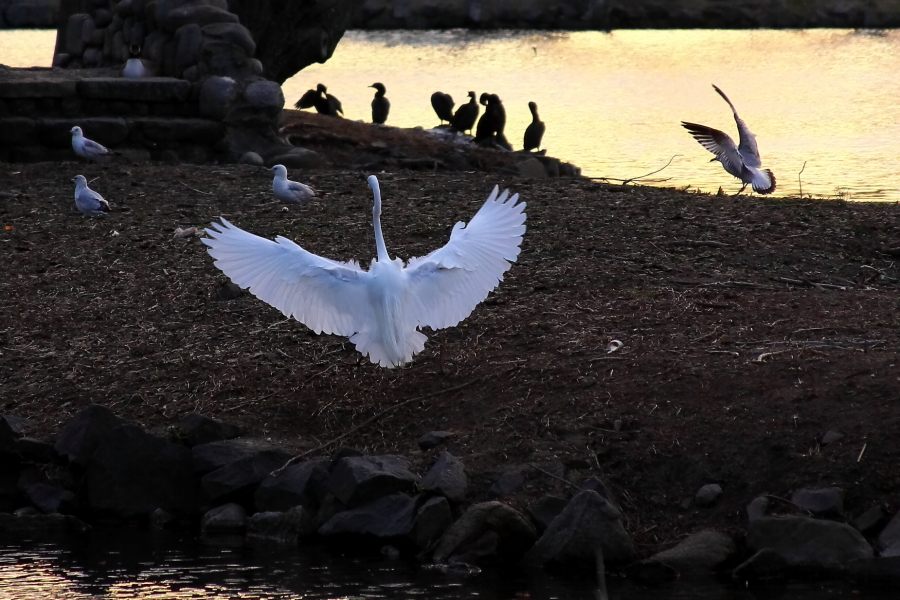 2013 04 16 IMG 03404e